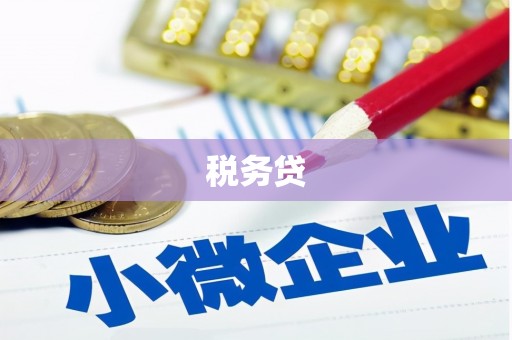 吉首税务贷