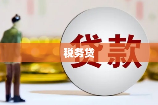 吉首税务贷