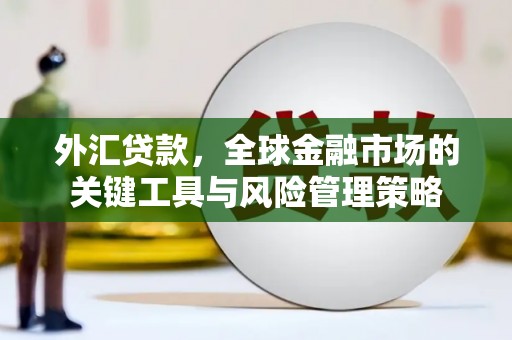 吉首外汇贷款，全球金融市场的关键工具与风险管理策略