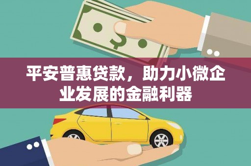 吉首平安普惠贷款，助力小微企业发展的金融利器