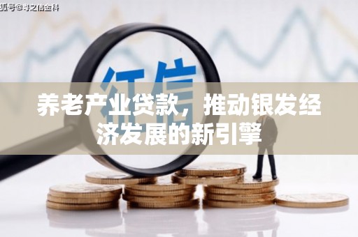 吉首养老产业贷款，推动银发经济发展的新引擎