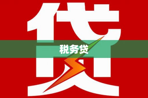 吉首税务贷