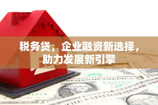 吉首税务贷，企业融资新选择，助力发展新引擎