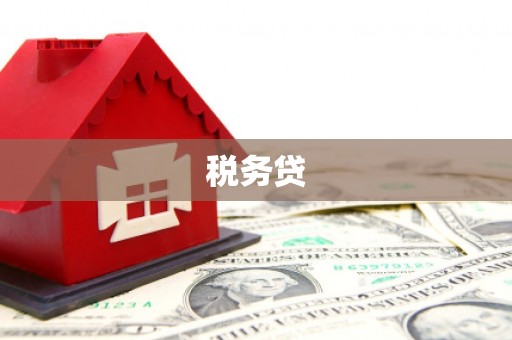 吉首税务贷