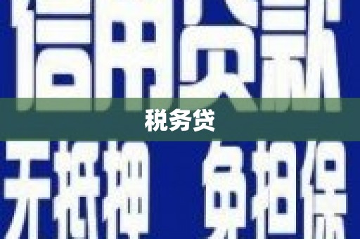 吉首税务贷