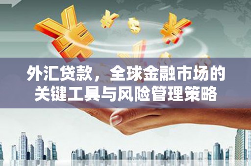 吉首外汇贷款，全球金融市场的关键工具与风险管理策略