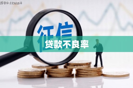 吉首贷款不良率