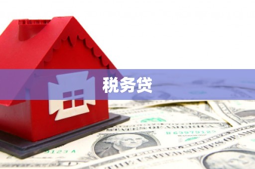 吉首税务贷