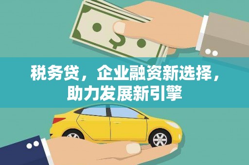 吉首税务贷，企业融资新选择，助力发展新引擎