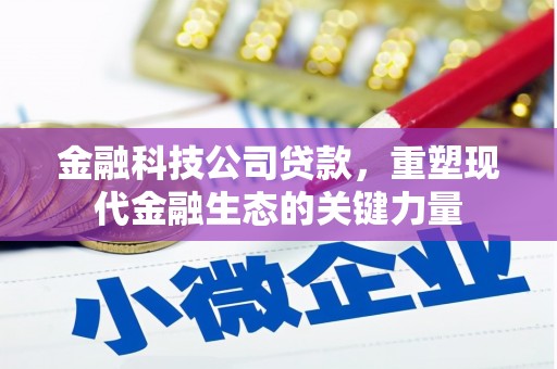 吉首金融科技公司贷款，重塑现代金融生态的关键力量