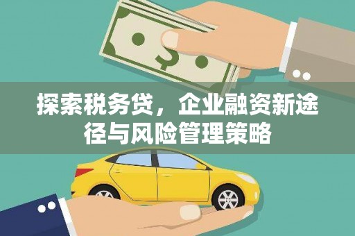 吉首探索税务贷，企业融资新途径与风险管理策略