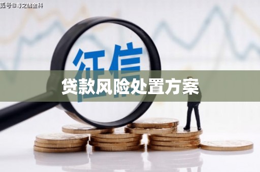 吉首贷款风险处置方案