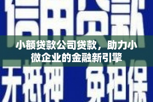 吉首小额贷款公司贷款，助力小微企业的金融新引擎