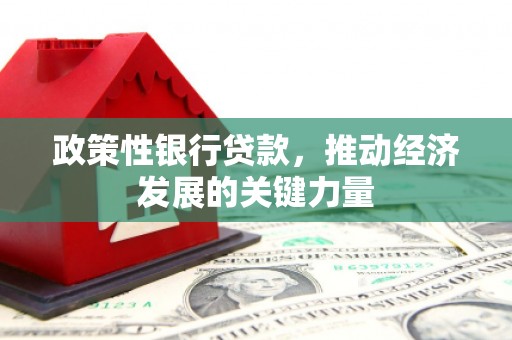 吉首政策性银行贷款，推动经济发展的关键力量