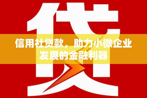 吉首信用社贷款，助力小微企业发展的金融利器