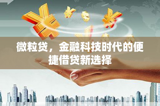 吉首微粒贷，金融科技时代的便捷借贷新选择