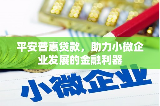 吉首平安普惠贷款，助力小微企业发展的金融利器