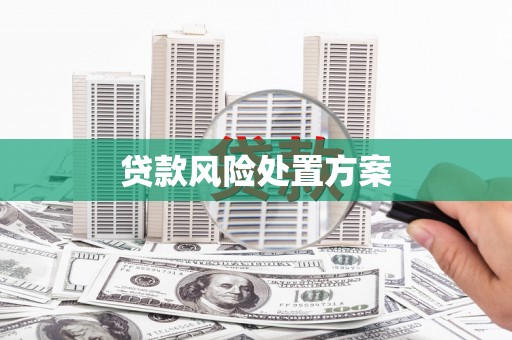 吉首贷款风险处置方案