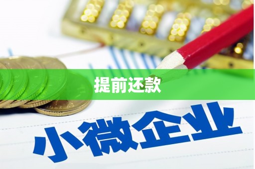 吉首提前还款